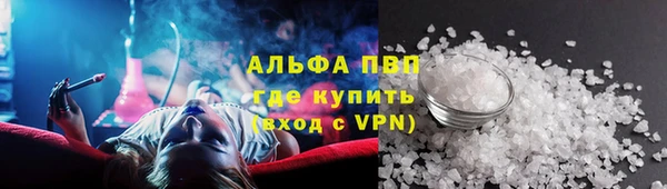 PSILOCYBIN Балахна