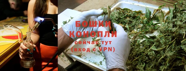 PSILOCYBIN Балахна
