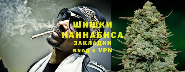 PSILOCYBIN Балахна